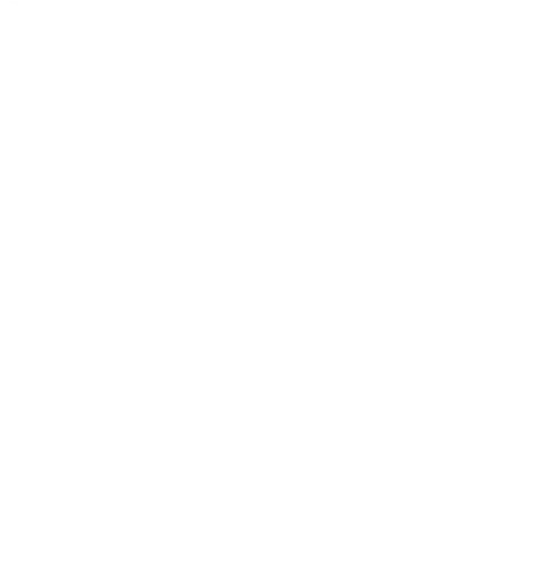 Wit logo met sierlijke 'FL' en tekst 'Flore Lumière' in hoofdletters, transparante achtergrond