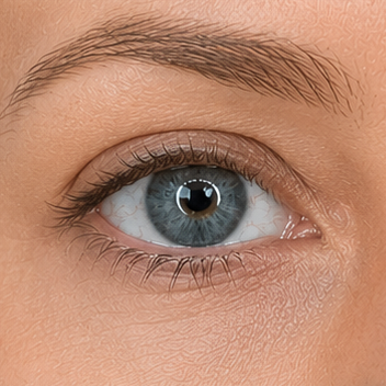 Voor resultaat van Fenna L. 24 met Flore Lumière Lash & Brow Ritual